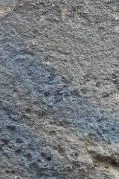 Happy Birthday Book: Happy Birthday Gifts Lined Journal Notebook  (15)  | Journal For Women, Friend Coworker  Birthday Gifts | Funny Gag Gift | Funny ... | 21 Birthday Gag Gifts For Best Friend)