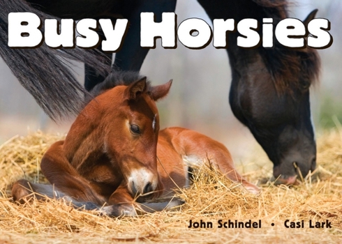 Busy Horsies - Book  of the A Busy Book