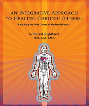 Paperback An Integrative Approach To Healing Chronic Illness Book