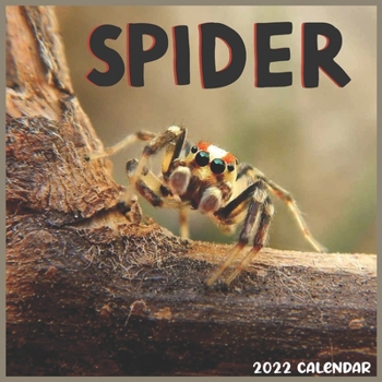 Spider 2022 Calendar: Official Spiders 2022 Calendar 16 Months