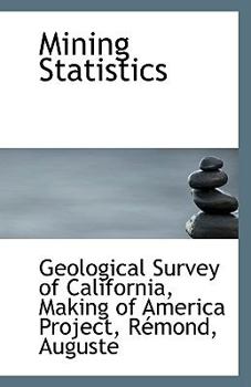 Paperback Mining Statistics Book