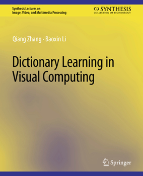 Paperback Dictionary Learning in Visual Computing Book