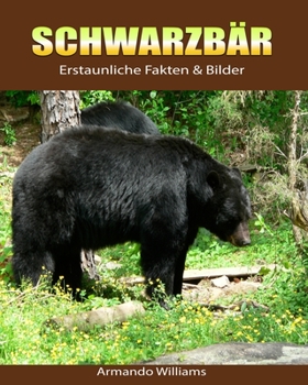 Paperback Schwarzb?r: Erstaunliche Fakten & Bilder [German] Book
