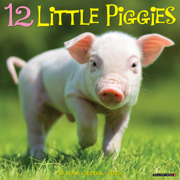 Calendar 12 Little Piggies 2025 12 X 12 Wall Calendar Book