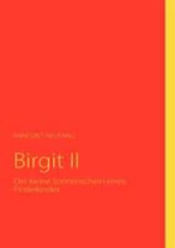 Paperback Birgit II: Der kleine Sonnenschein eines Findelkindes [German] Book
