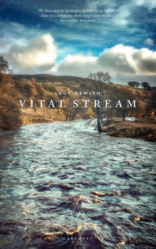 Paperback Vital Stream Book