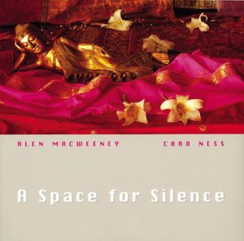 Paperback A Space for Silence Book