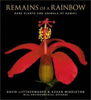 Hardcover Remains of a Rainbow: Rare Plants and Animals of Hawai'i Book