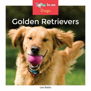 Library Binding Golden Retrievers Book