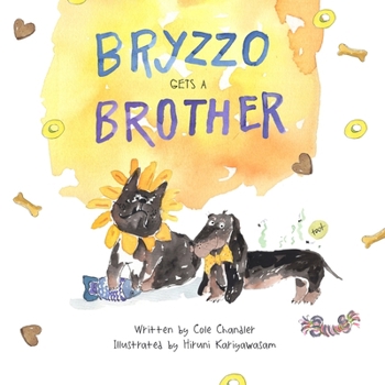 Paperback Bryzzo Gets a Brother Book