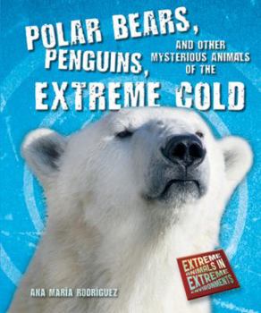 Paperback Polar Bears, Penguins, and Other Mysterious Animals of the Extreme Cold Book