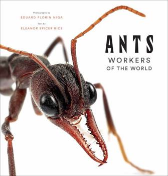 Hardcover Ants: Workers of the World Book