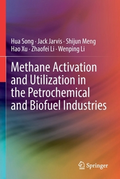 Paperback Methane Activation and Utilization in the Petrochemical and Biofuel Industries Book