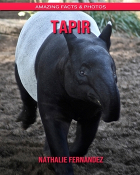 Tapir: Amazing Facts & Photos