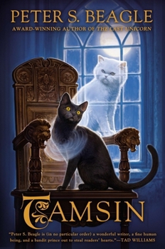 Paperback Tamsin Book