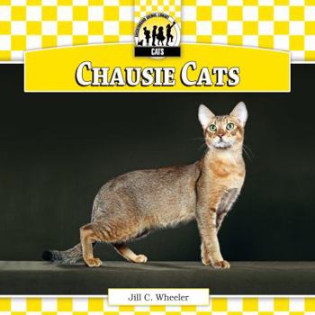 Chausie Cats - Book  of the Cats