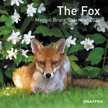 Calendar The Fox Calendar 2020 Book