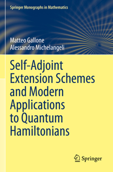 Paperback Self-Adjoint Extension Schemes and Modern Applications to Quantum Hamiltonians Book