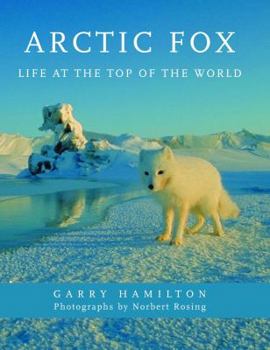 Hardcover Arctic Fox: Life at the Top of the World Book