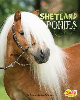 Paperback Shetland Ponies Book