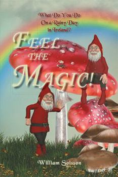 Hardcover Feel the Magic!: What Do You Do On a Rainy Day in Ireland? Book