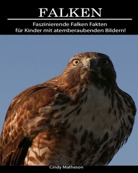 Falken: Faszinierende Falken Fakten für Kinder mit atemberaubenden Bildern! (German Edition)