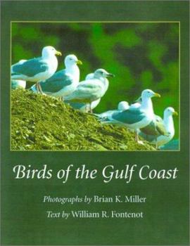 Birds of the Gulf Coast