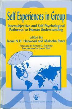 Paperback Self Experiences in Group Intersubjective and Self Psychological Pathways to Human Understanding Book