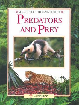 Paperback Predators and Prey (Secrets of the Rainforest) Book