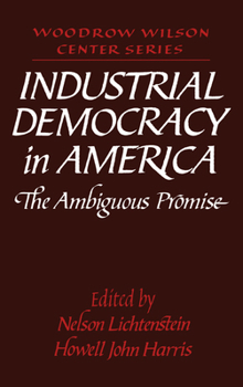 Hardcover Industrial Democracy in America: The Ambiguous Promise Book