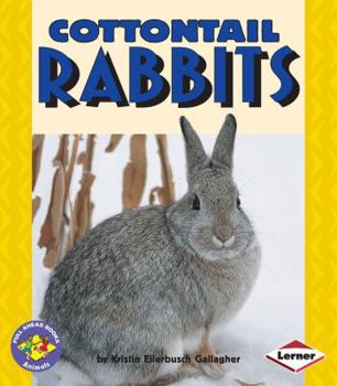 Paperback Cottontail Rabbits Book