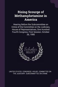 Paperback Rising Scourge of Methamphetamine in America: Hearing Before the Subcommittee on Crime of the Committee on the Judiciary, House of Representatives, On Book