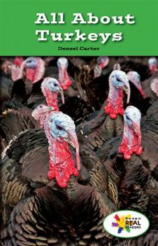 Paperback All about Turkeys Book