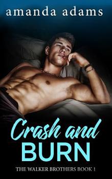 Crash and Burn - Book #1 of the Walker Bros.