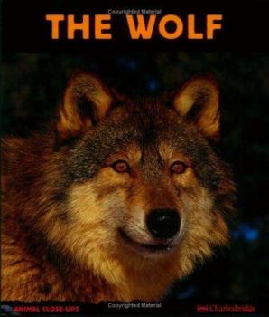 The Wolf: Night Howler (Animal Close-Ups) (Animal Close-Ups) - Book  of the Animal Close-Ups