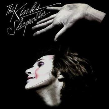 Vinyl Sleepwalker Book