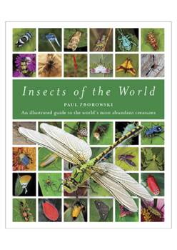 Hardcover Insects of the World: An Illustrated Guide to the World's Most Abundant Creatures Book