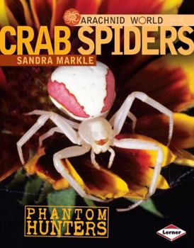 Library Binding Crab Spiders: Phantom Hunters Book