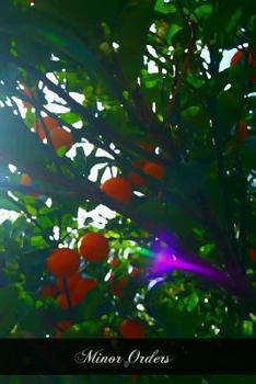 Paperback Minor Orders Book