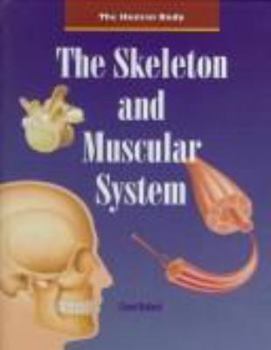 Hardcover The Skeleton and Muscular System Book