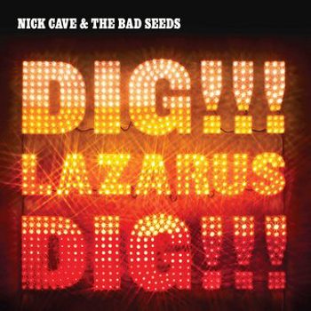 Vinyl Dig Lazarus Dig Book