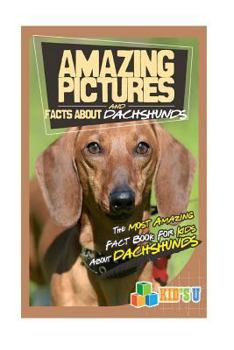 Paperback Amazing Pictures and Facts about Dachshunds: The Most Amazing Fact Book for Kids about Dachshunds Book