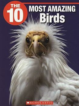 Paperback The 10 Most Amazing Birds Book