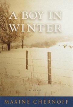 Hardcover A Boy in Winter Book