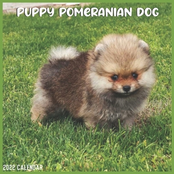 Pomeranian Puppy 2022 Calendar: Official Pomeranian Dog Breed 2022 Calendar 16 Months