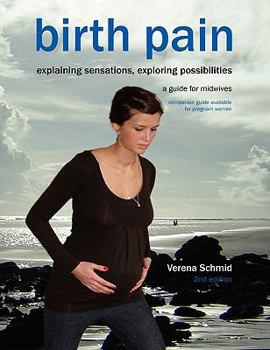 Paperback Birth Pain: Explaining Sensations, Exploring Possibilities (2nd Ed) Book