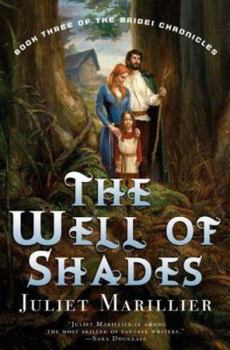 The Well of Shades - Book #3 of the Bridei Chronicles