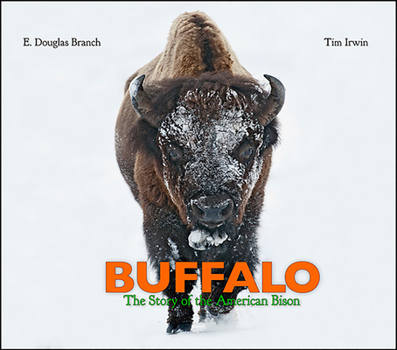Hardcover Buffalo: The Story of the American Bison Book