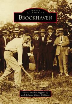 Paperback Brookhaven Book