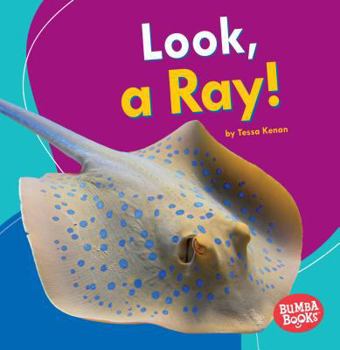 Look, a Ray! - Book  of the Veo Animales Marinos